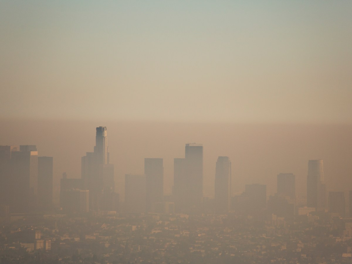 Bad Air is Bad for Your Brain