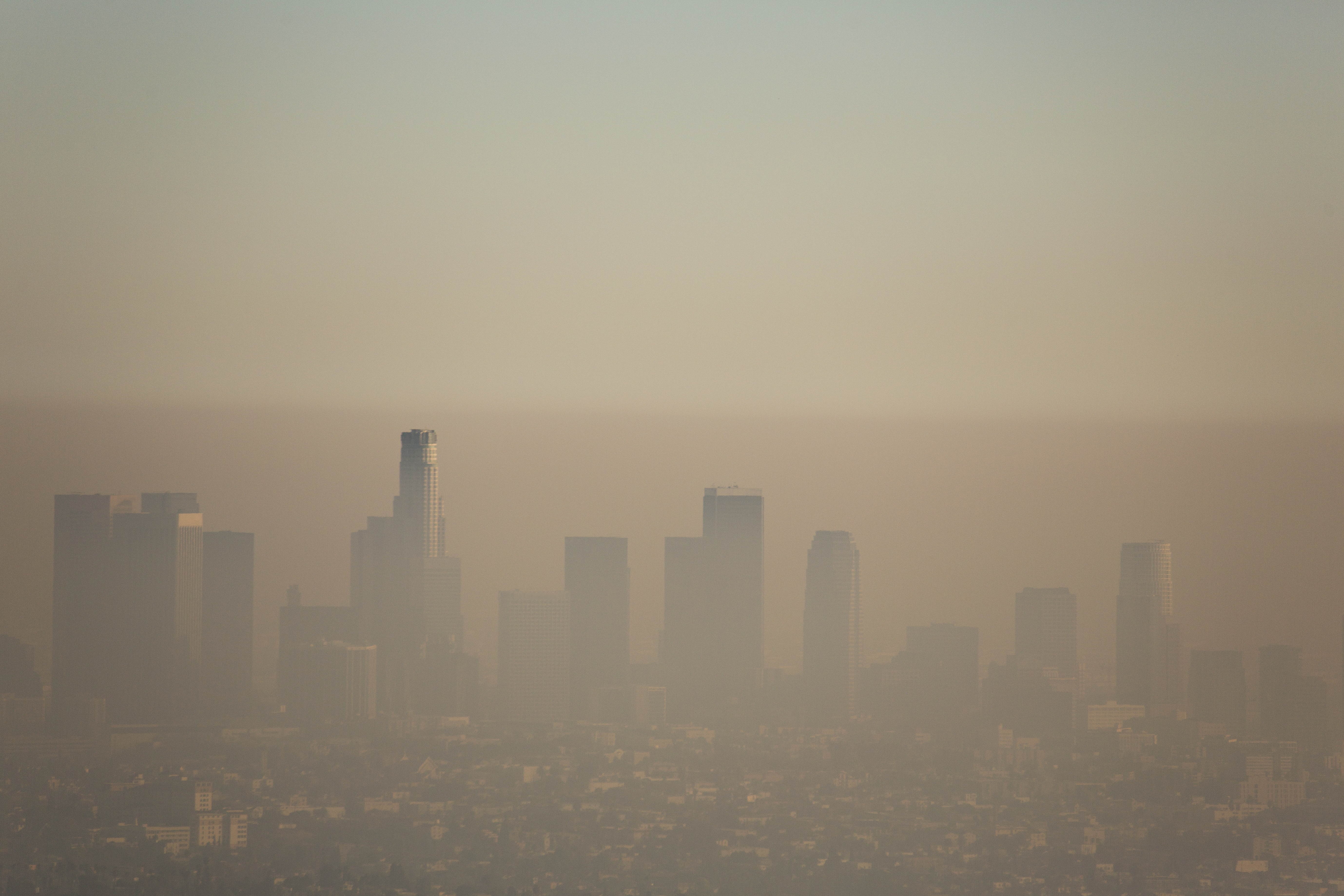 Bad Air is Bad for Your Brain