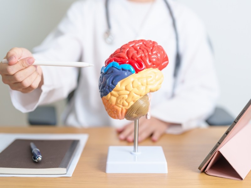 Unlock the Secrets to a Sharper Mind: Unveiling the Power of Neuroplasticity